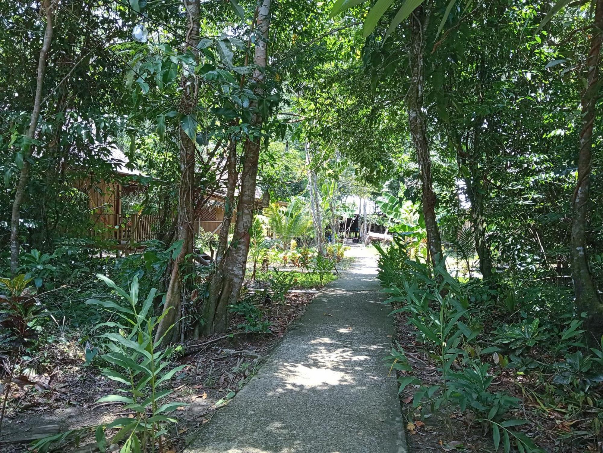 Casa Maya Lívingston Exteriér fotografie